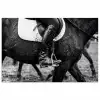 Paard - Sport - Zwart - Wit poster papier klein -3d