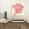 Koraal - Stipjes - Roze aluminium wit klein -sfeer1