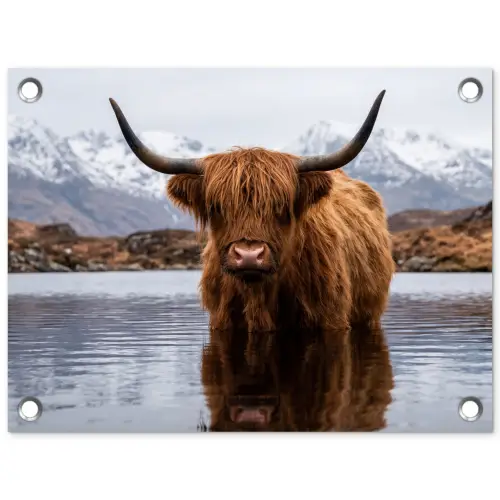 Schotse hooglander - Bruin - Water tuinposter los doek klein -3d