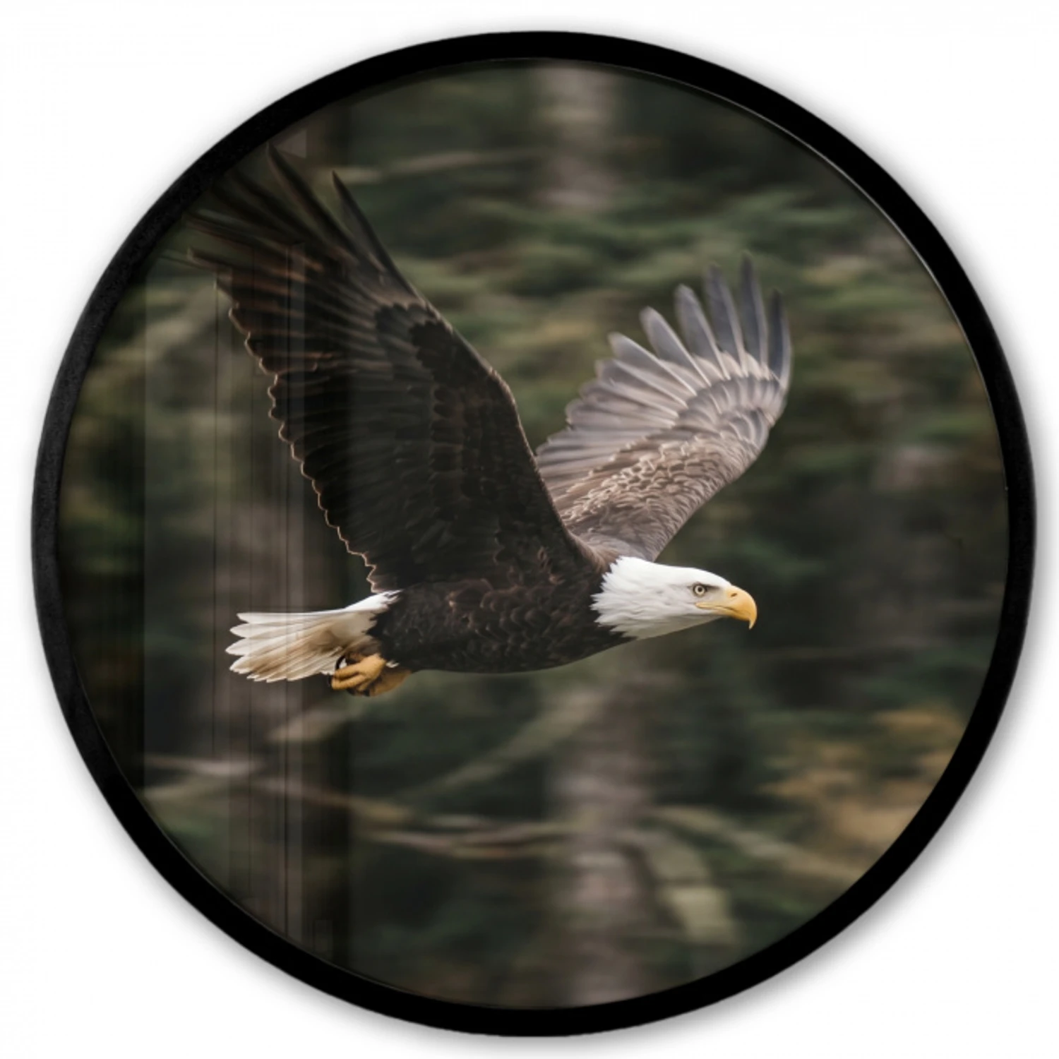 Zeearend - Vliegen - Bos - Natuur Fotolijst rond zonder passe partout klein -3d
