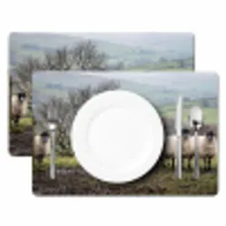 Schapen - Rij - Weide - Dieren - Platteland Placemat vinyl groot -zzsfeer2_Kitchenyeah-website