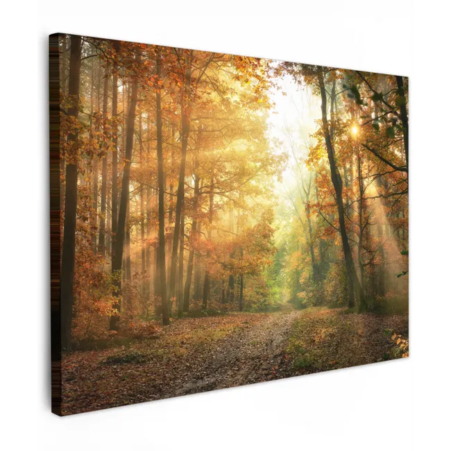 Canvas schilderij - Bos - Herfst - Zon - Landschap - Natuur - Bomen - Bladeren