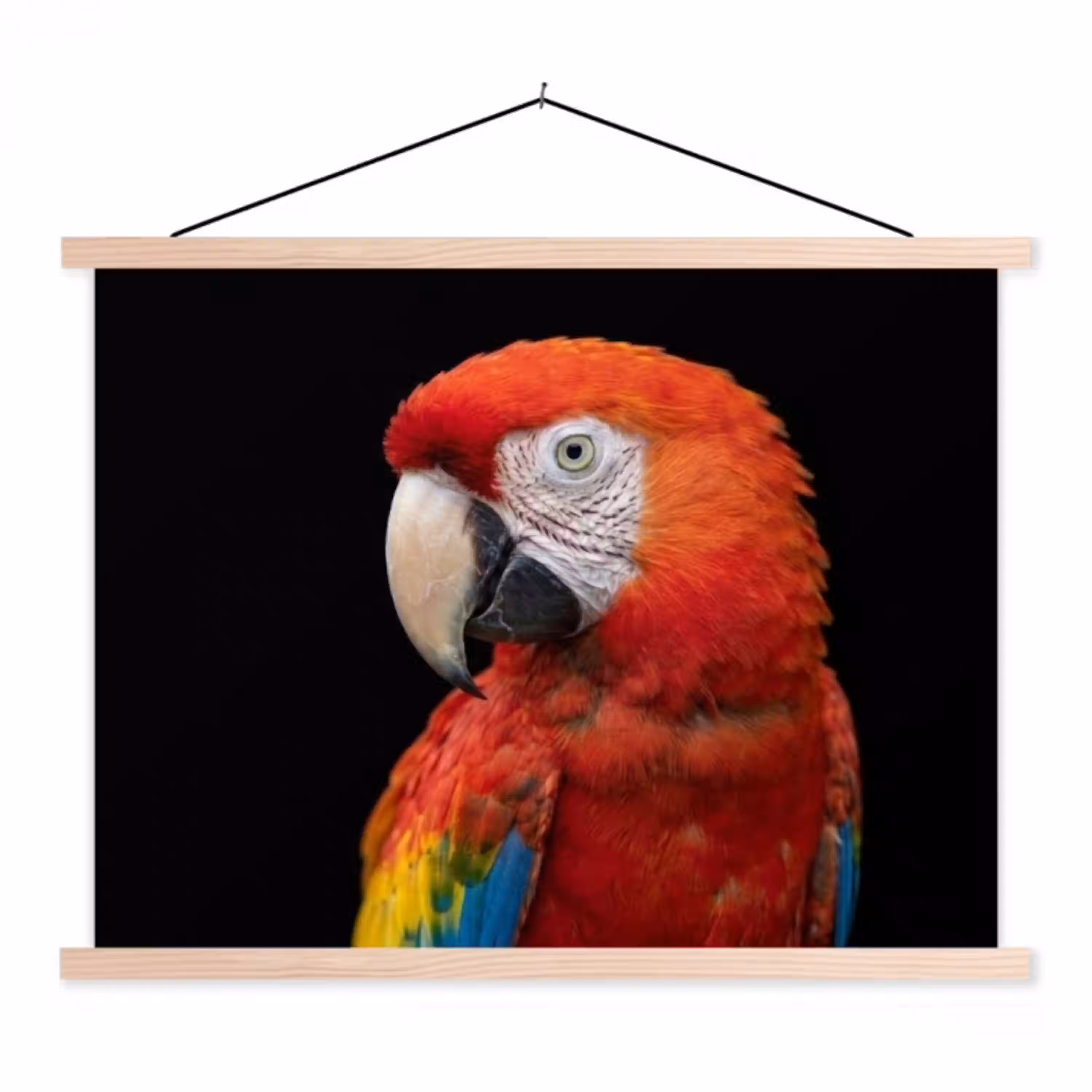 Ara - Portret - Rood textielposter latten blank klein -3d