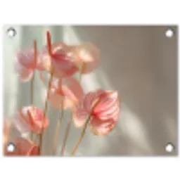 Bloemen - Stelen - Roze - Schaduw tuinposter los doek klein -3d