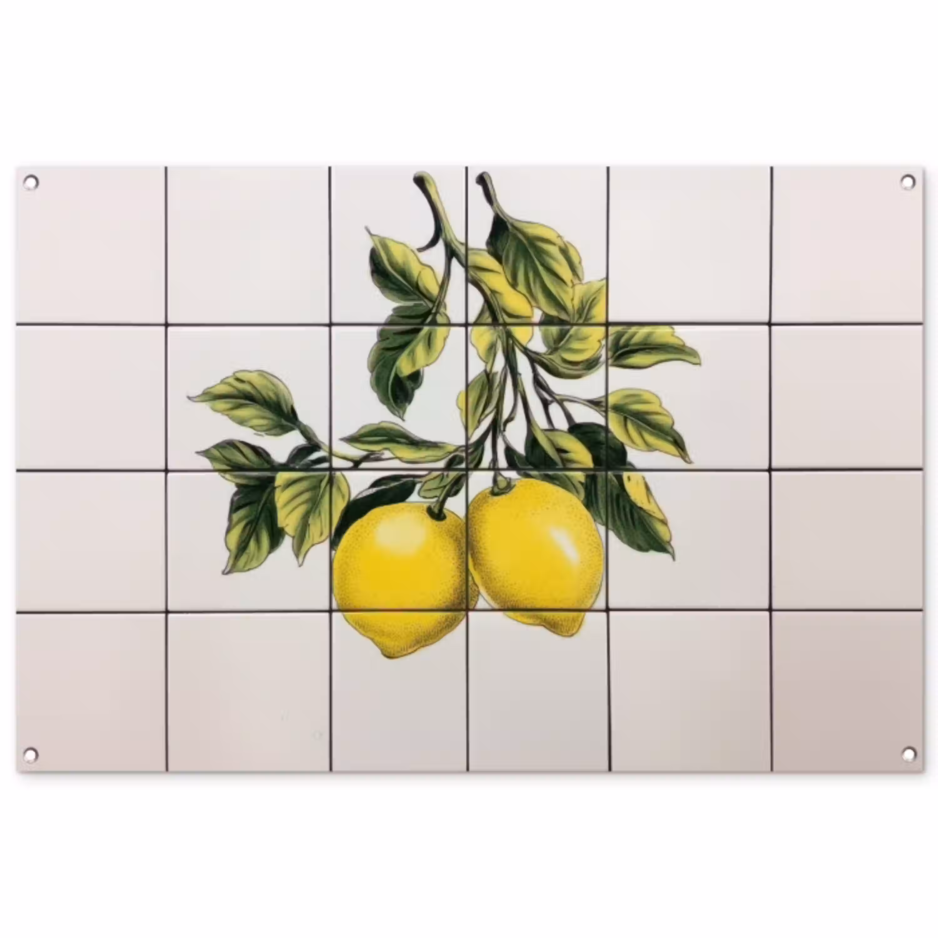 Citroen - Decoratie - Keramiek - Takken tuinposter los doek groot -3d