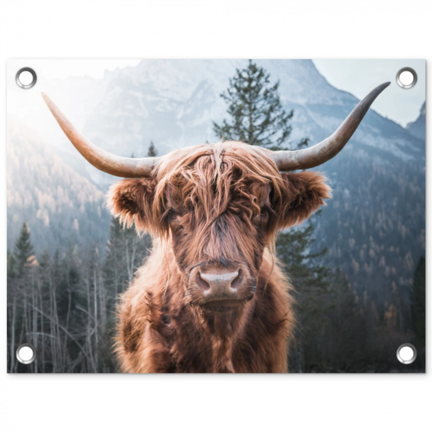 Hooglander van Dichtbij tuinposter los doek klein -3d