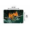 Paradijsvogel - Bloem - Exotisch Placemat vinyl groot -specs