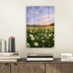 Madelief - Veld - Heuvels - Groen plexiglas 5mm klein -sfeer1