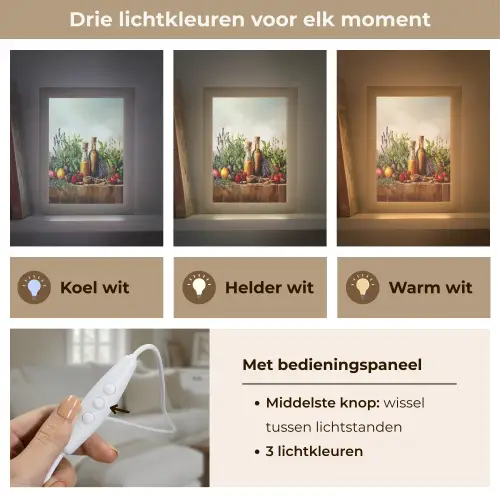 Stilleven - Kruiden - Specerijen - Fruit - Kleurrijk Light Box met kabel (Tafellamp) klein -USP_lichtkleurNL