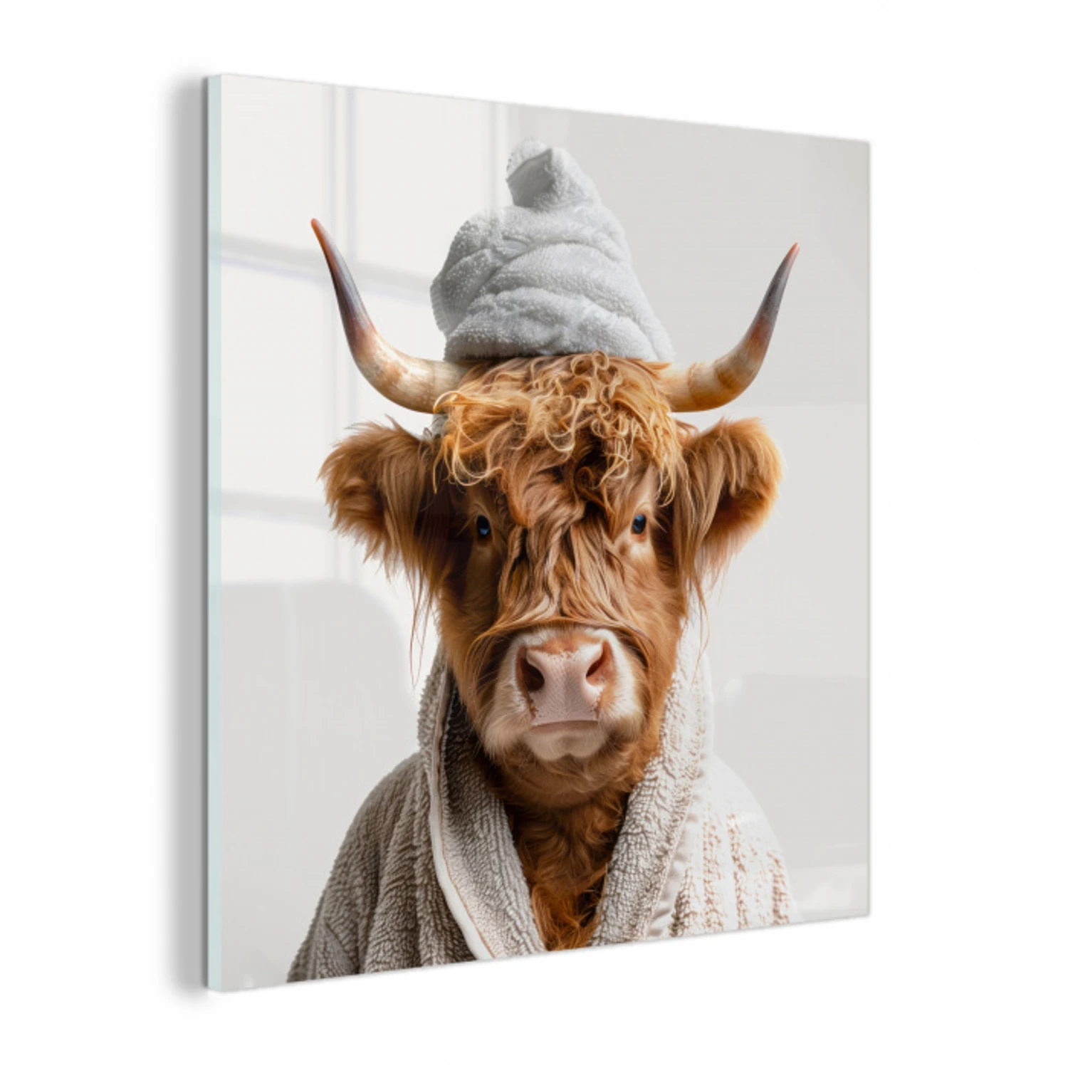 Schotse hooglander - Badjas - Koe - Dieren plexiglas 5mm klein -z3d