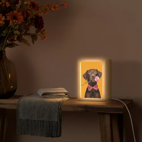 Hond - Oranje - Roos - Valentijn Light Box met kabel (Tafellamp) klein -sfeer4