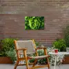 Groente - Sla - Groen Tuinposter op houten frame 2 cm dik klein -sfeer3