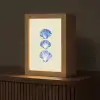 Schelpen - Blauw - Beige Light Box met kabel (Tafellamp) klein -z3d_website