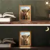 Schotse hooglander - Dieren portret - Natuur - Dier Light Box met kabel (Tafellamp) klein -sfeer3