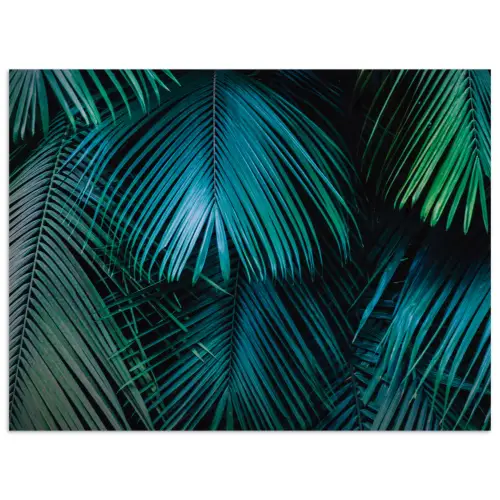 Inductie mat - Jungle - Inductie beschermer - Palmblad - Natuur poster papier klein -3d