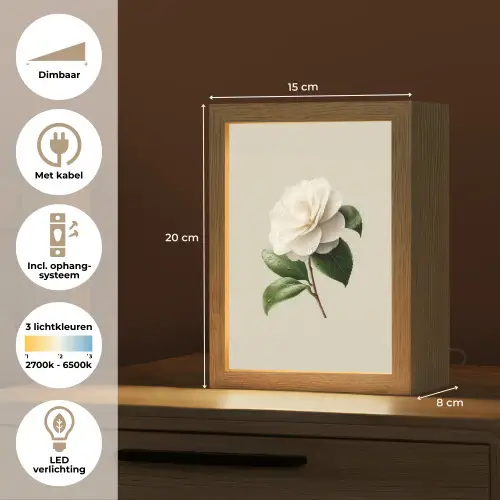 Cameliabloem - Wit - Groen Light Box met kabel (Tafellamp) klein -USP_NL