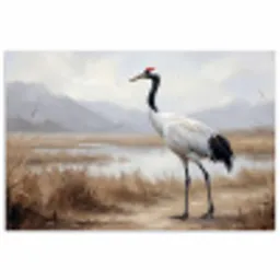 Kraanvogel - Natuur - Realistisch poster papier klein -3d