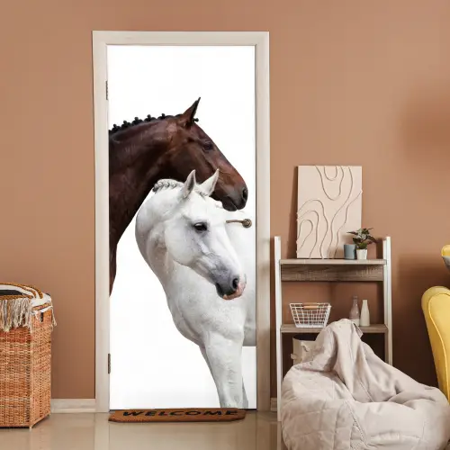 Paard - Modern - Balans deurposter klein -sfeer1