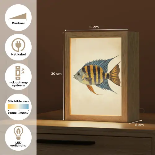 Vis - Tropisch - Strepen - Vinnen Light Box met kabel (Tafellamp) klein -USP_NL