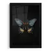 Vlinder - Metaalachtig - Geometrisch patroon fotolijst zwart zonder passe partout klein -3d