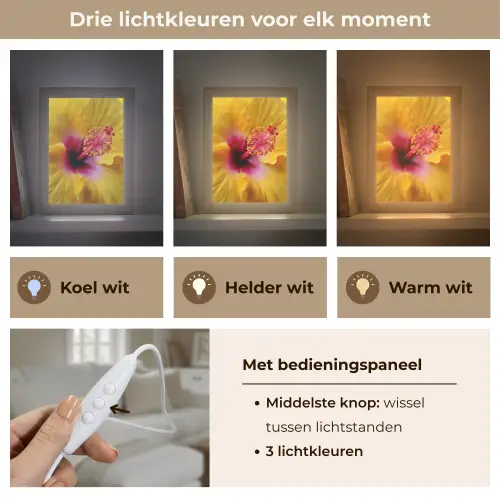 Geel - Hibiscus - Tropisch Light Box met kabel (Tafellamp) klein -USP_lichtkleurNL