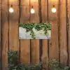 Klimop - Muur - Groen tuinposter los doek klein -sfeer1