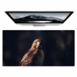 Roofvogel - Buizerd - Bruin Muismat XXL klein -zzz3d