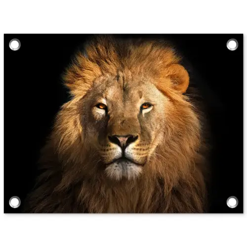 Leeuw - Dieren - Zwart - Licht - Bruin - Portret tuinposter los doek klein -3d