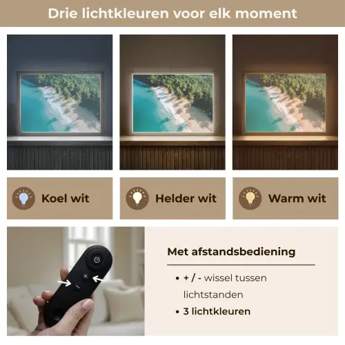 Tropisch - Strand - Water - Palmbomen Light Box met batterij (Wandlamp) middel -USP_lichtkleurNL