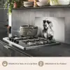 Golden retriever - Hond - Zonnebril - Gkas keuken achterwand spatscherm klein -usp_FR