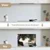 Rotsen - Zee - Boom - Groen keuken achterwand spatscherm klein -voor_na_NL