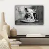Varken - Schattig - Spaghetti - Zwart wit - Dier canvas 2cm klein -sfeer6