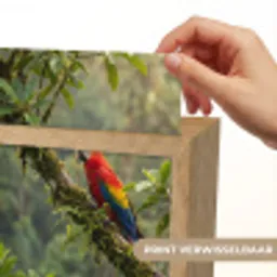Ara - Jungle - Rood Light Box met kabel (Kinderlampje) klein -USP_websiteprintNL