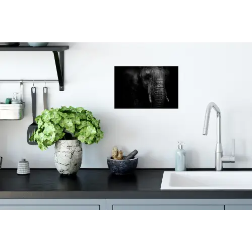 Olifant - Dier - Portret Muursticker klein -keuken