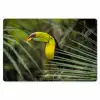Close-up van een etende toekan Placemat vinyl groot -zzsfeer1_Kitchenyeah-website