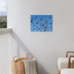Zwaluwen - Vliegen - Blauw tuinposter los doek klein -sfeer8