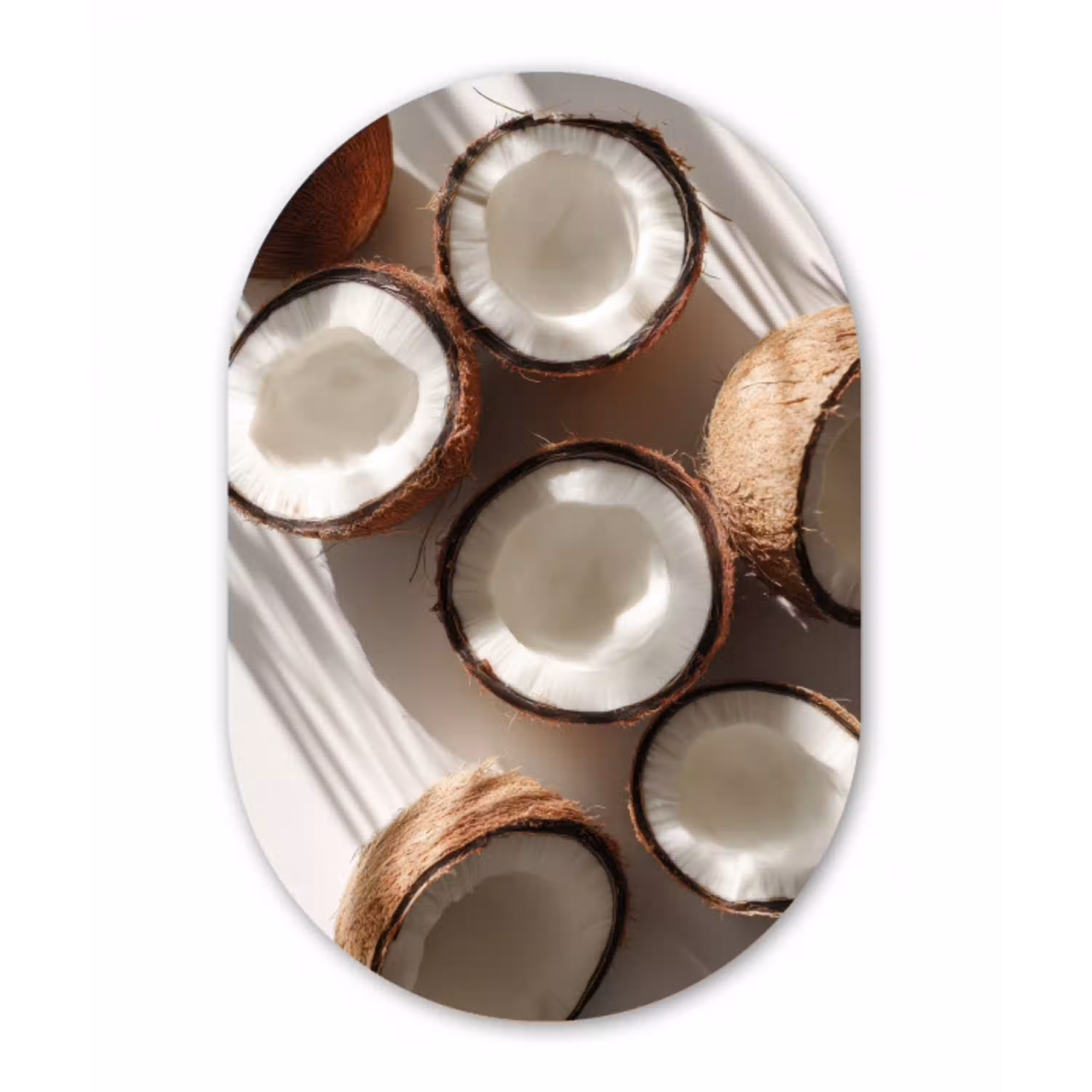 Kokosnoten - Bruin - Shaduw Wandcirkel Ovaal Glas middel -3d