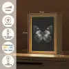 Vlinder - Grijs - Mysterieus Light Box met kabel (Tafellamp) klein -USP_NL