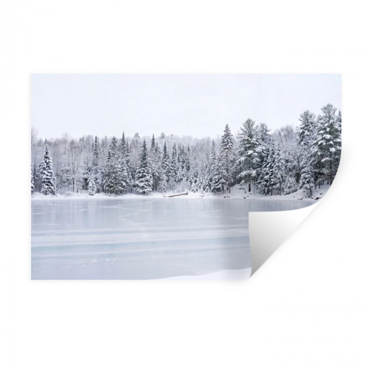 Meer - Dennen - IJs - Winter - Rustgevend Muursticker klein -3d