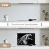 Adelaar - Portret - Roofvogels - Zwart - Wit - Vogel keuken achterwand spatscherm klein -voor_na_NL