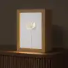 Bloem - Minimalistisch -Wit Light Box met kabel (Tafellamp) klein -z3d_website