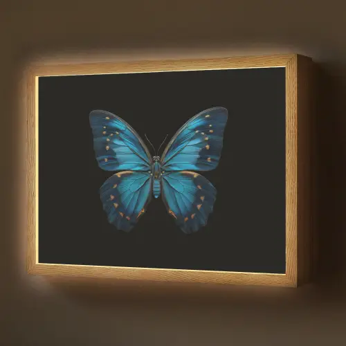 Vlinder - Blauw - Contrast Light Box met batterij (Wandlamp) middel -z3d_website