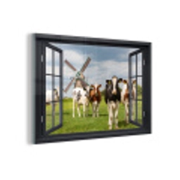 Doorkijk - Koe - Molen - Koeien - Weiland - Gras - Groen plexiglas 5mm klein -z3d