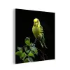 Parkiet - Tak - Bladeren - Geel aluminium wit klein -3d