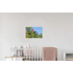 Kolibrie - Bloem - Natuur - Groen Muursticker klein -kinderkamer
