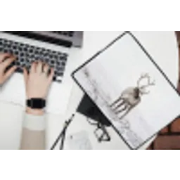 Rendier - Gewei - Sneeuw - Winter laptophoes neopreen klein -bureau