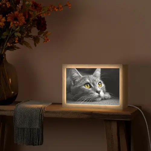 Kat - Zwart - Wit - Dieren - Natuur Light Box met kabel (Tafellamp) klein -sfeer4