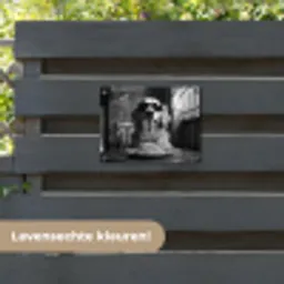 Golden Retriever - Hond - Vrolijk -  Bord spaghetti - Zwart - wit tuinposter los doek klein -sfeer3