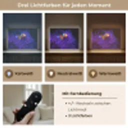 Koraal - Vis - Oranje - Zee Light Box met batterij (Wandlamp) middel -USP_lichtkleurDE