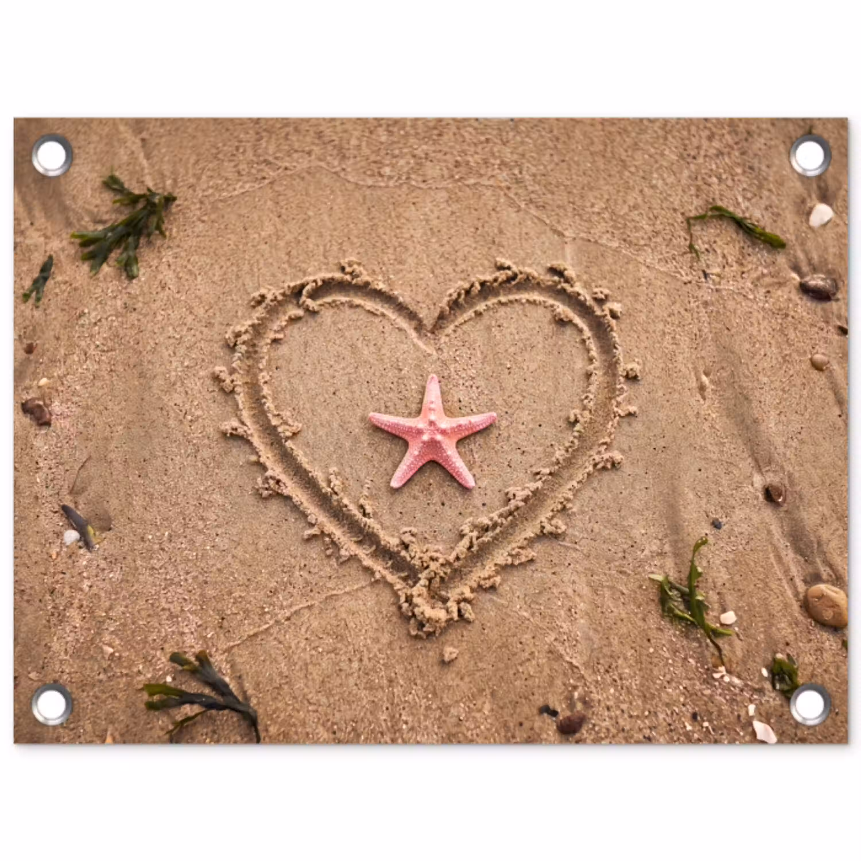 Dieren - Hart - Strand - Zand - Roze tuinposter los doek klein -3d
